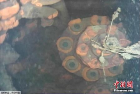　　资料图：2017年，东京电力公司公布了首次使用水下机器人拍摄到的福岛第一核电站3号机组内的具体状况。(视频截图)